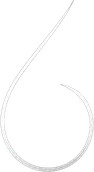 RicherFin Logo