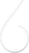 RicherFin Logo